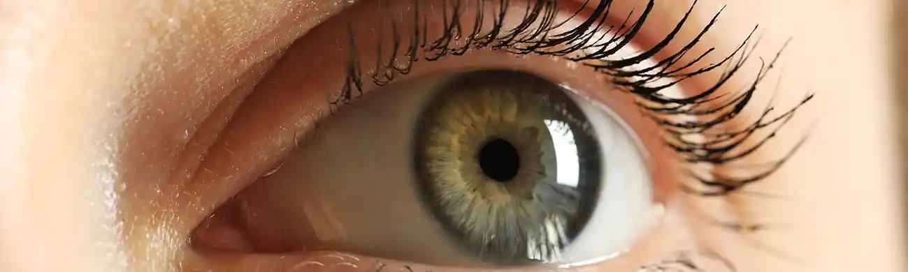photo d'un oeil en gros plan